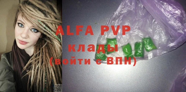 СК Волоколамск