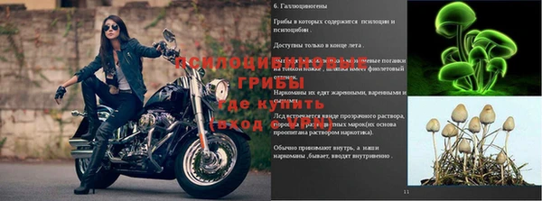 СК Волоколамск