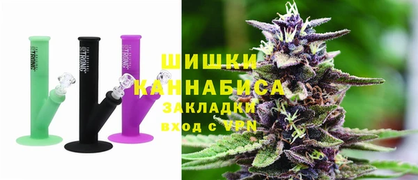 СК Сосновый Бор