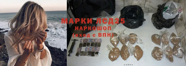 СК Волоколамск